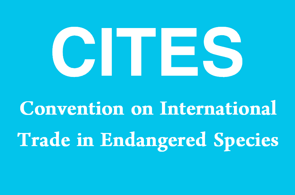 What is CITES? (Convention on International Trade in Endangered Species