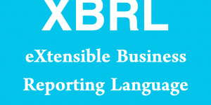 XBRL - eXtensible Business Reporting Language